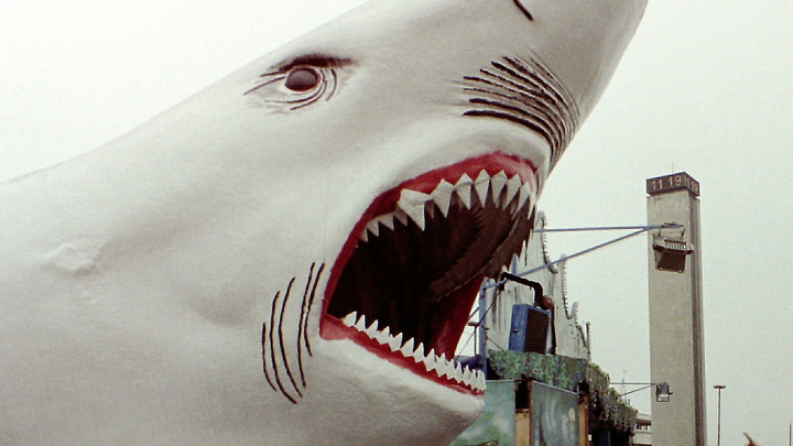 Британцам пообещали акул-людоедов: Об угрозе этим летом предупредила Ocearch