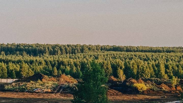 Когда Челябинская область избавится от дыма и запаха гари