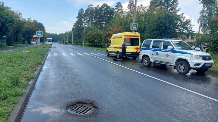 В Челябинской области пенсионер сбил женщину с сыном