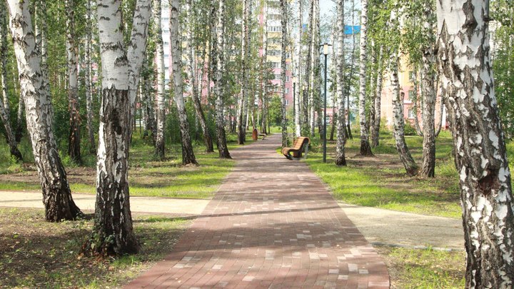 8 фото новой экотропы в Челябинске