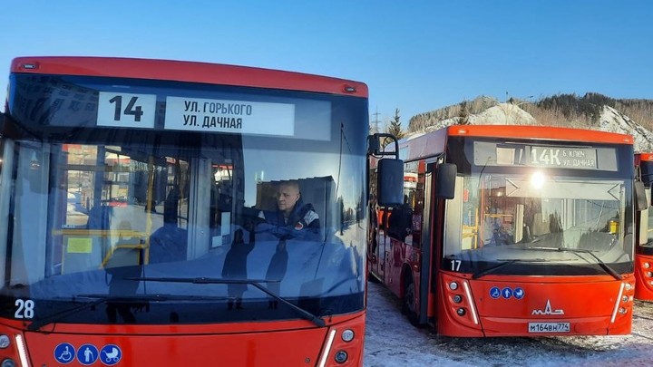 В Златоусте показали 17 новых расписных автобусов. Скоро они выйдут в рейсы