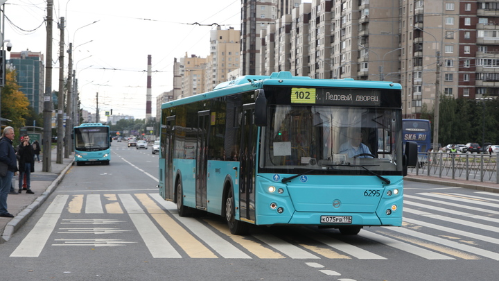 Бесплатный проезд в автобусе для всех: что предложили депутаты Госдумы