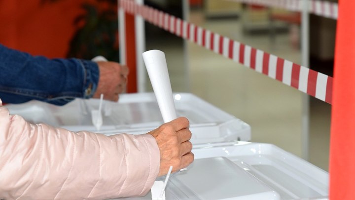 Общественная палата Владимирской области подтвердила наличие неучтённых бюллетеней на выборах в ЗС