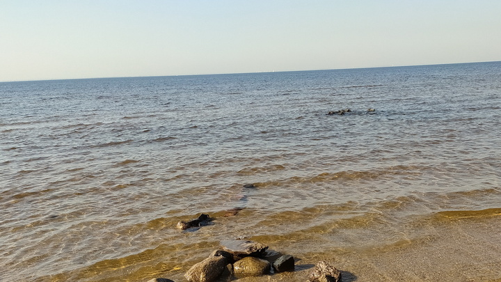 НАТО в шаге от войны с Россией? Бывший советник главы Пентагона указал на роковую ошибку США