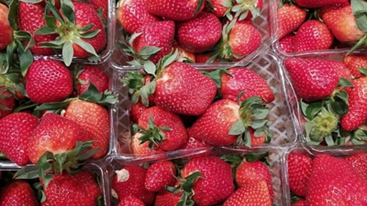 Диетолог призвала есть клубнику с осторожностью