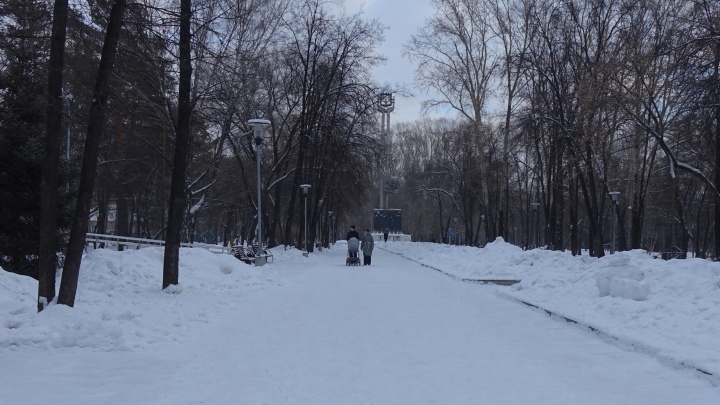 На 28 градусов изменится температура воздуха в Кузбассе на неделе