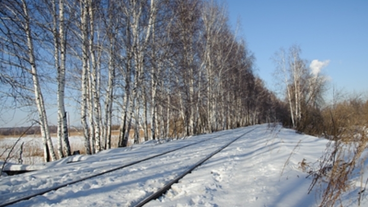 Конфронтация растёт: ВСУ расстреляли неугодных польских наёмников