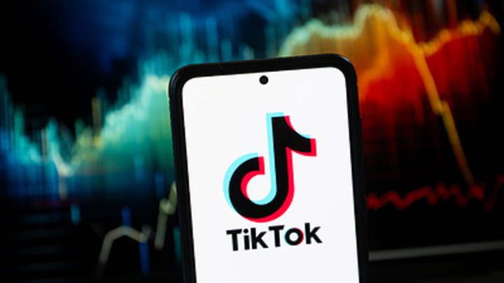 Лукашенко отреагировал на обращение граждан из TikTok