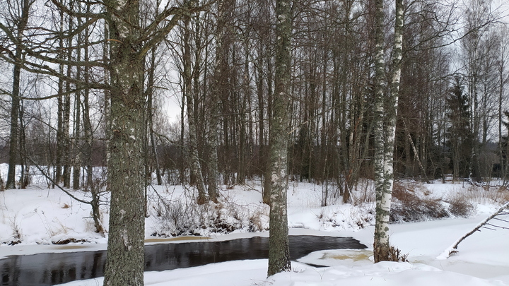Традиции в Андреев день: что можно и что нельзя делать