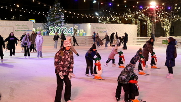 Вильфранд: Жители 11 регионов России встретят Новый год при аномальном холоде