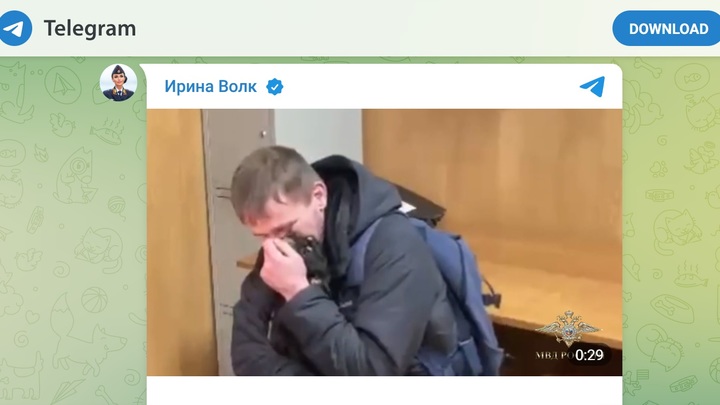 Появилось трогательное видео воссоединения выброшенного из электрички тойтерьера Арчи с хозяином