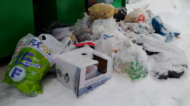 Депутаты Челябинской области займутся уборкой несанкционированных свалок
