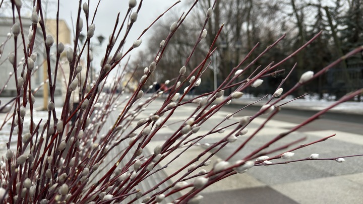 В Поморье придет потепление, но не для всех: синоптики рассказали о погоде