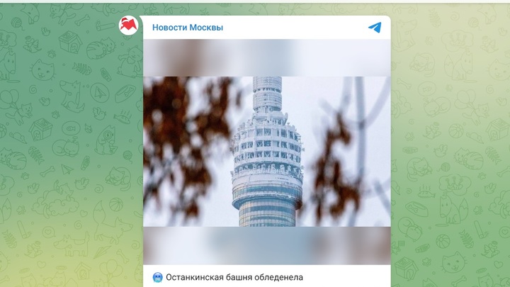 Останкинская башня покрылась льдом из-за аномальных морозов в Москве