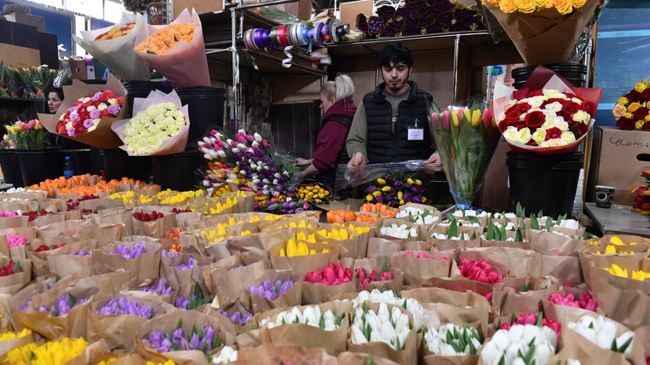 Россельхознадзор: Нидерланды, Латвия и Литва поставляют в Россию цветы низкого качества