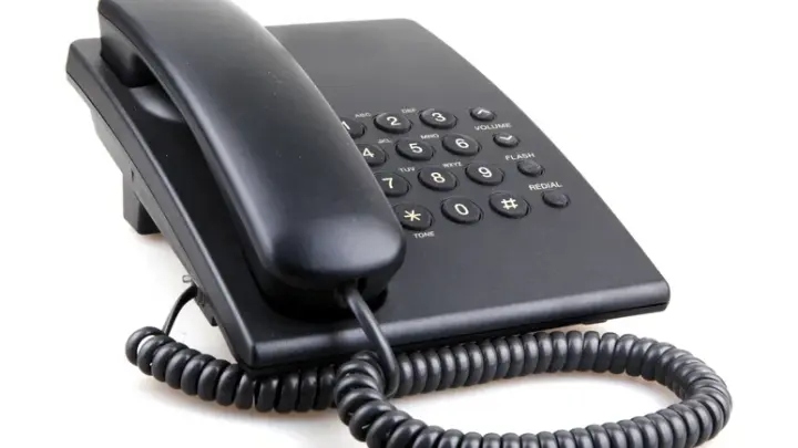 Профессор ВШЭ Королева поставила точку в вопросе ударения в слове «звонит»