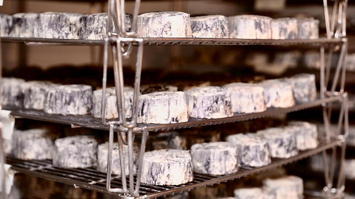 На Кубани построят новый цех по производству сыров