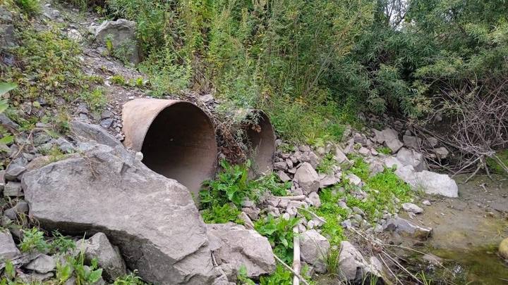 Прокуратура требует сноса дамбы на реке Обь в Новосибирске