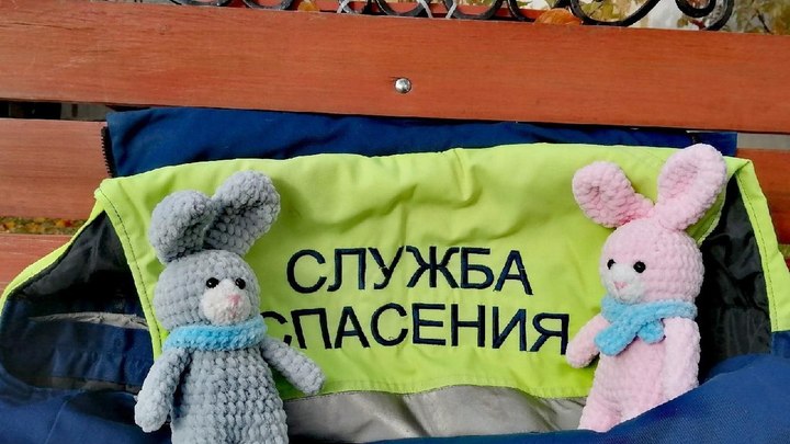 В Архангельске девочке, которая играла с игрушкой, потребовалась помощь спасателей