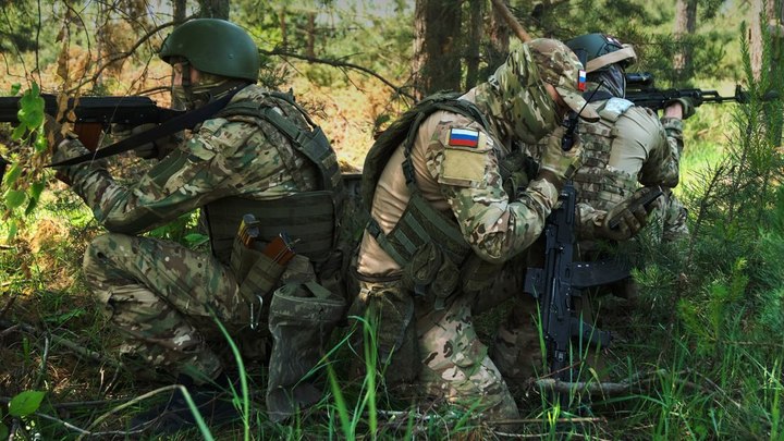 СВО на Украине, новости 13 июля: русскими убито 480 украинских боевиков на Донецком направлении