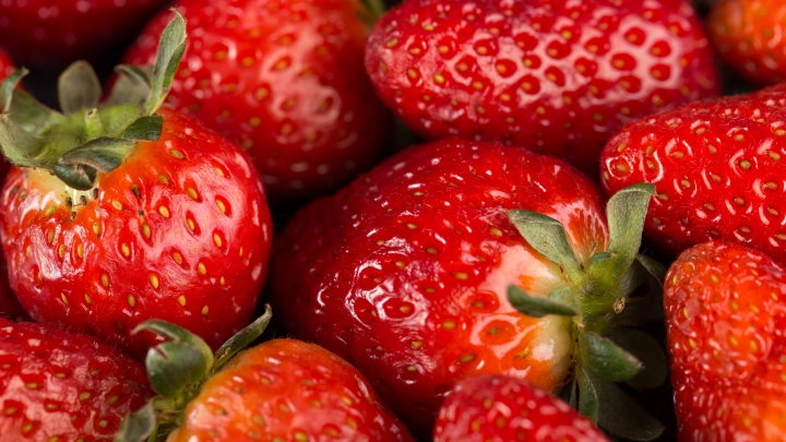 В Финляндии ягодная компания разорилась перед началом сезона – просто русские перестали собирать у них клубнику