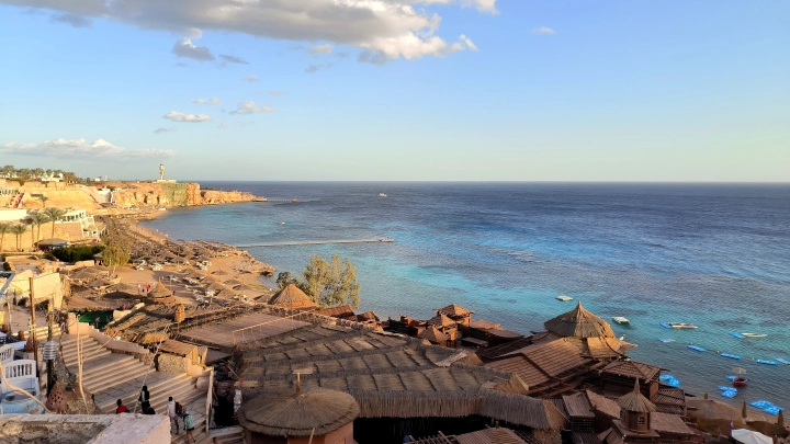 Русских туристов предупредили о нашествии акул на египетских пляжах