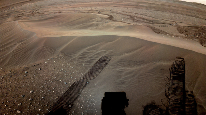 Русский след на Марсе: Мария Захарова оценила морду медведя