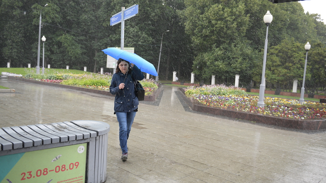 Синоптики сегодня. Погода в Липецке. Новости погоды. Москва погода сегодня новости. Погода в Москве новости.