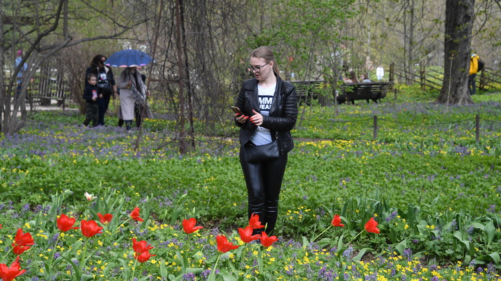 В Ботсаде ТГУ пожаловались на уничтоживших более 200 цветов школьников из Новосибирска