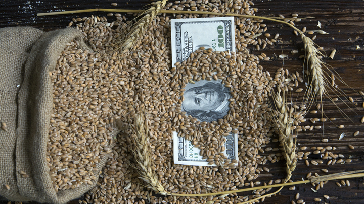 Путин озвучил условия возвращения России в зерновую сделку