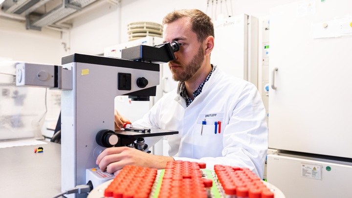 Лихорадка и кровь из носа: Названы симптомы неизвестной болезни из Афганистана