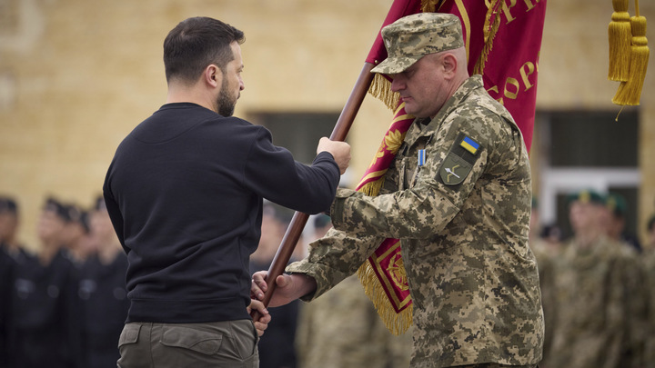 Две ошибки Зеленского и Залужного в СВО: Арестович* не пощадил никого