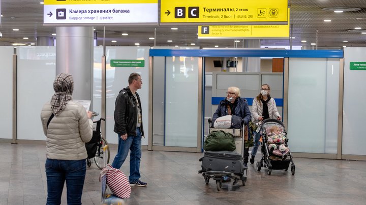 Коронавирус завезли в Россию из Таиланда и... Украины: Официальные цифры
