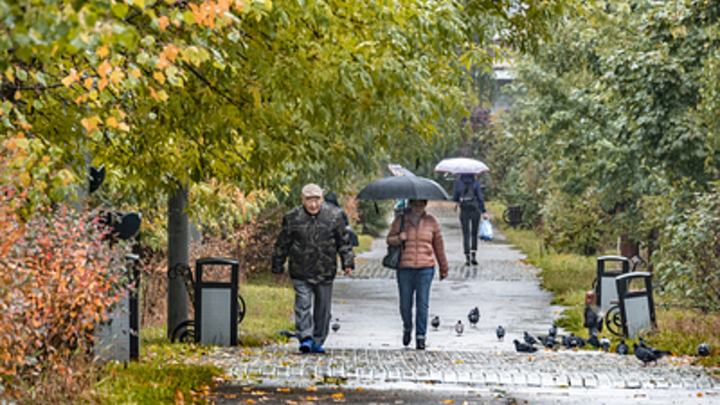 Дожди с грозами: ноябрь на Кубани обещает быть холодным