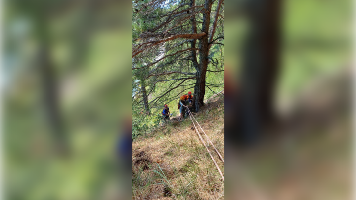 В Геленджике спасатели эвакуировали упавшую с горы 10-летнюю девочку