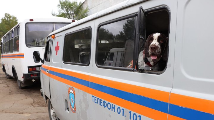 Два нижегородских ТЦ и три рынка эвакуировали 16 апреля из-за ложных сообщений о минировании