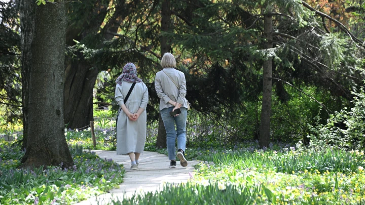 Майские праздники - 2025. В какие даты отдыхаем - сразу 8 выходных за счёт зимних торжеств