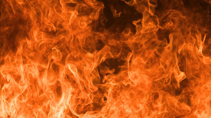 Галкин* и Макаревич* уже осудили удар по больнице в Газе?: Почему молчат испуганные патриоты