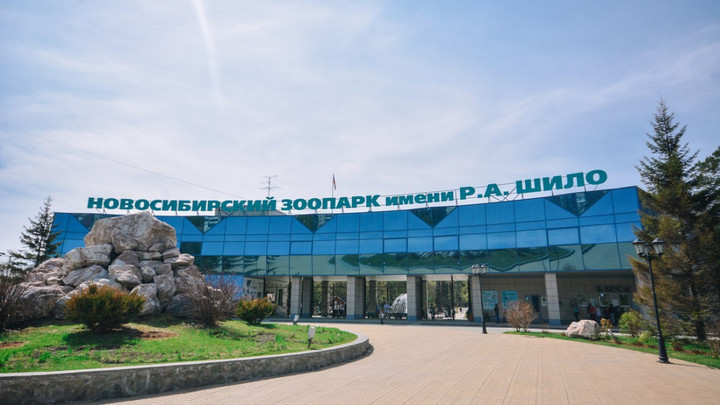 Совсем скоро: Губернатор Травников назвал дату открытия зоопарка и музеев