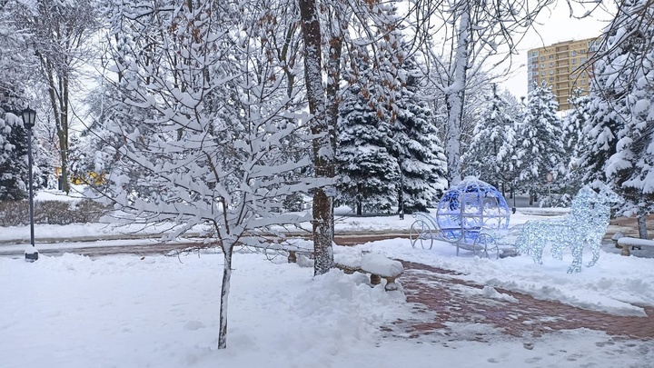 Новости Ростова-на-Дону 7 февраля 2022: больничные дистанционно и телевизор вместо Вечного огня