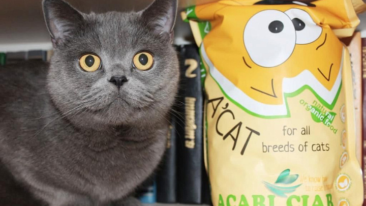 На Кубани производят около 80 наименований кормов для собак и кошек