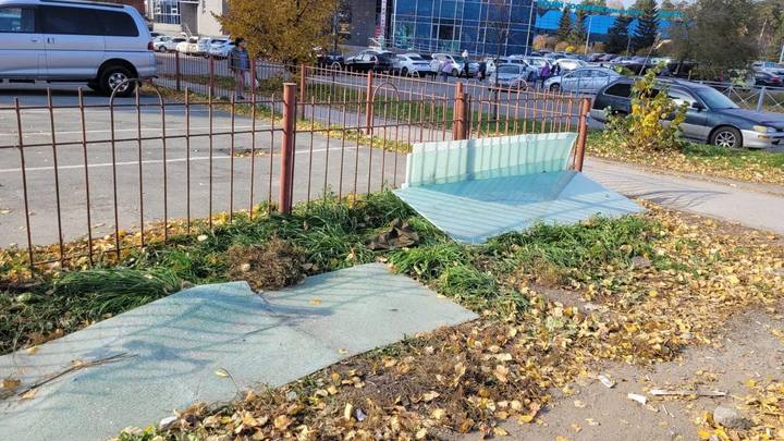 Прокуратура проверит снос остановки около Новосибирского зоопарка