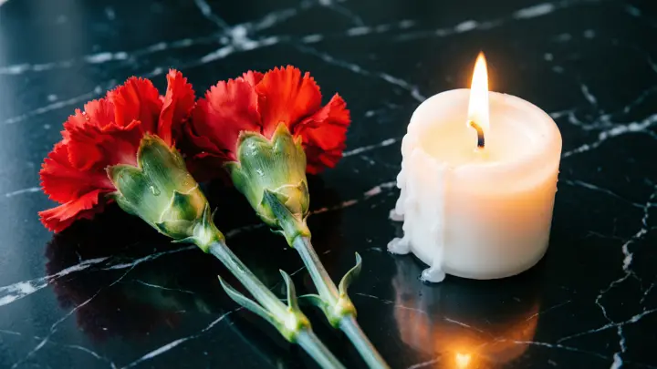 Красная гвоздика 12 февраля: 35 лет забвения и новый русский ответ