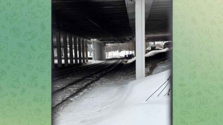 Nissan вылетел на рельсы и парализовал движение на МЦД-2