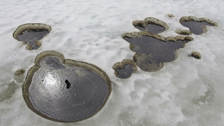 Угрожает здоровью людей: Эксперт призвал не медлить с ликвидацией разлива нефти под Новороссийском