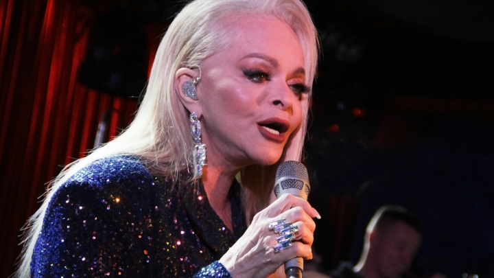 Долина заработает на новогодних концертах стоимость новой московской квартиры