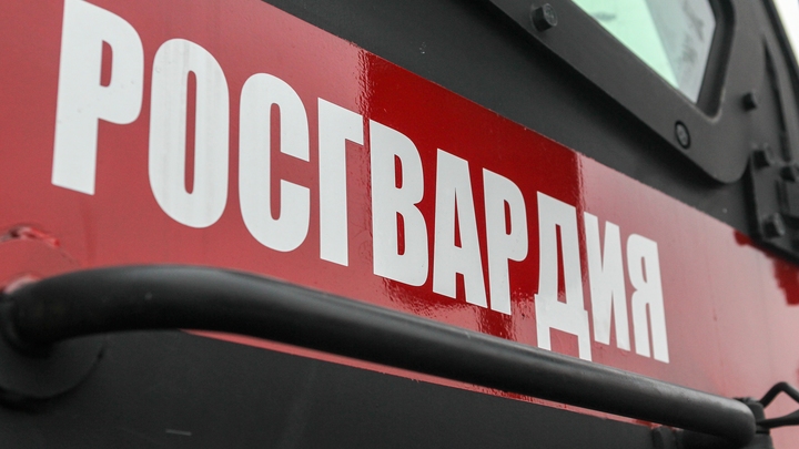 В Росгвардии рассказали, что будет с найденной в центре Перми миной