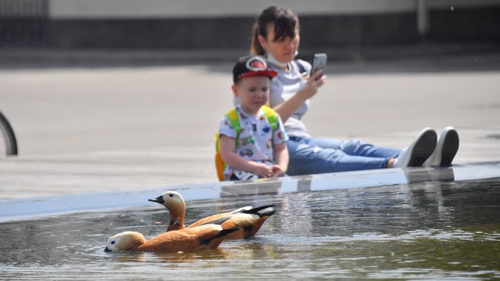 Не давайте телефоны маленьким детям: Мясников предупредил о серьёзной угрозе здоровью