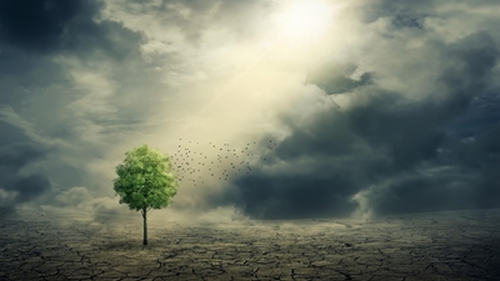 Простой вопрос раскрыл обман с глобальным потеплением: На что пойдут 50 трлн долларов?