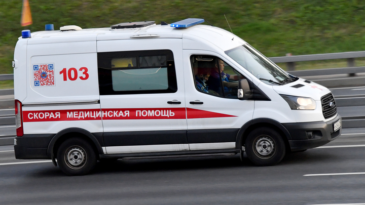Спасатели вытащили упавшую в Москву-реку пожилую женщину